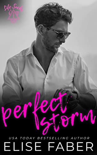 Book Cover for Perfect Storm by Elise Faber
