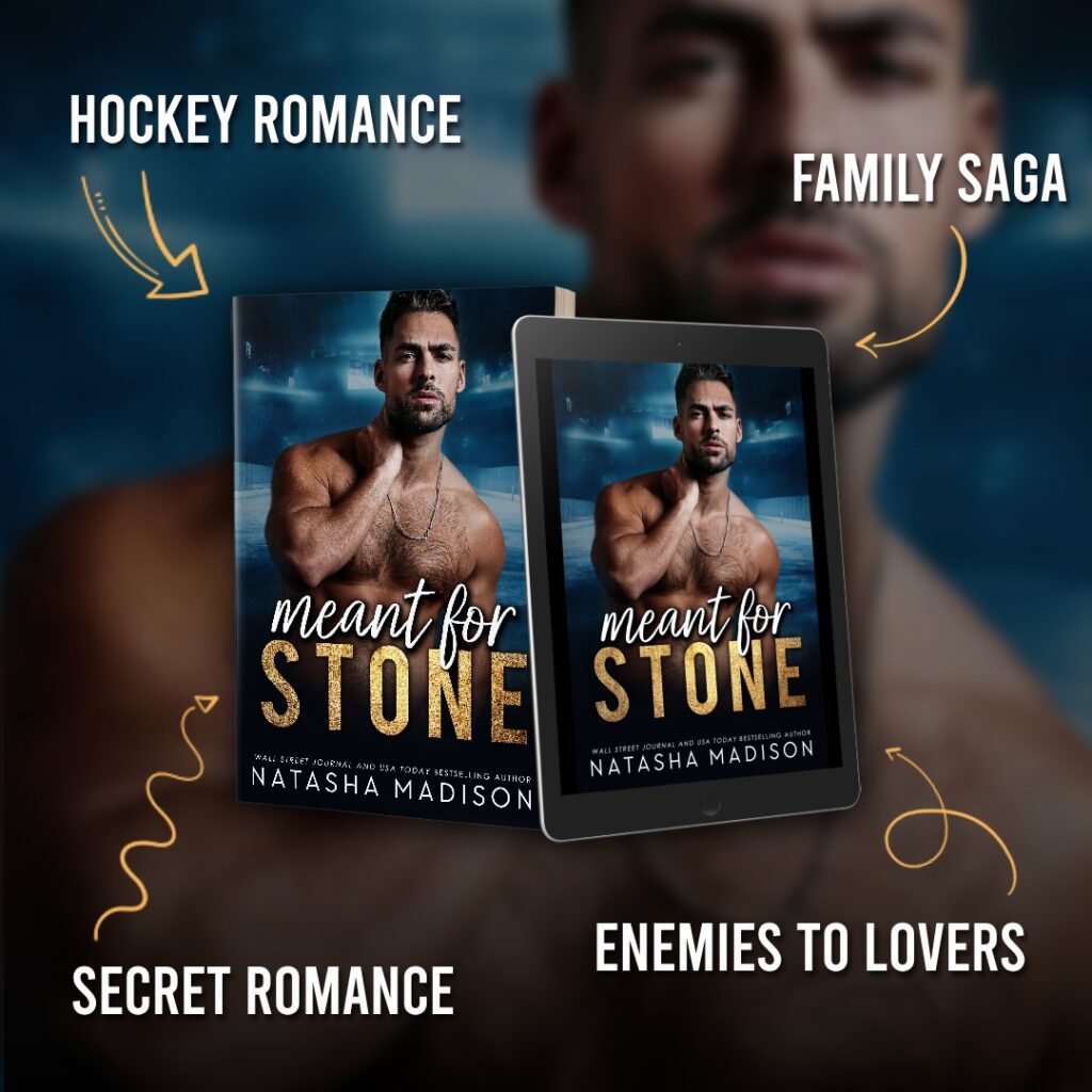 Meant for Stone Book Cover