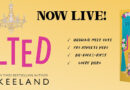 Jilted by Vi Keeland